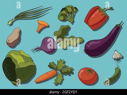 Doodle set of autumn harvest vegetables, set of a vegetarian food. Vector illustration in a flat hand drawn style. Stock Vector