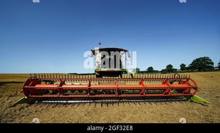 Lebrade, Germany. 23rd Aug, 2021. A combine harvester stands in the sun on a field. This year's harvest balance sheet was presented at the 2021 harvest press conference. Credit: Axel Heimken/dpa/Alamy Live News Stock Photo