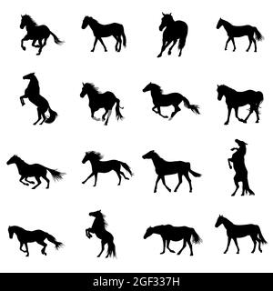 Set of black horses silhouettes on white background Stock Vector