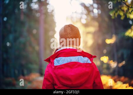 Young woman alone in the autumnal forest in sunrise. Stock Photo