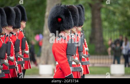 Wellington Barracks, London, UK. 23 August 2021. Preparations at Wellington Barracks for the full ceremonial Changing the Guard with music at Buckingham Palace after the longest pause since WW2 due to the Coronavirus restrictions in March 2020. Number 3 Company from 1st Battalion Coldstream Guards are inspected before undertaking this first full ceremonial duty accompanied by the Band of The Coldstream Guards. Credit: Malcolm Park/Alamy Live News Stock Photo