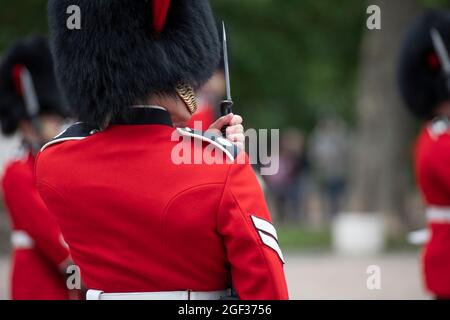 Wellington Barracks, London, UK. 23 August 2021. Preparations at Wellington Barracks for the full ceremonial Changing the Guard with music at Buckingham Palace after the longest pause since WW2 due to the Coronavirus restrictions in March 2020. Number 3 Company from 1st Battalion Coldstream Guards are inspected before undertaking this first full ceremonial duty accompanied by the Band of The Coldstream Guards. Credit: Malcolm Park/Alamy Live News Stock Photo