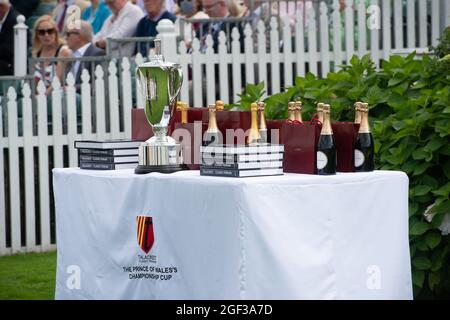 Egham, Surrey, UK. 22nd August, 2021. The Prince of Wales Cup awaits a new custodian. Credit: Maureen McLean/Alamy Stock Photo