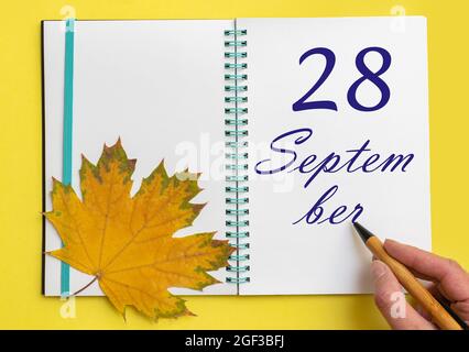 28th day of september. Hand writing the date 28 september in an open notebook with a beautiful natural maple leaf on a yellow background. Autumn month Stock Photo