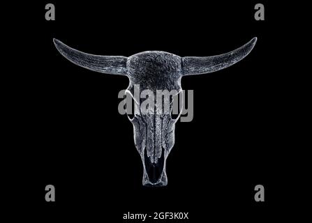 Animal horned skull isolated on black background with clipping path Stock Photo