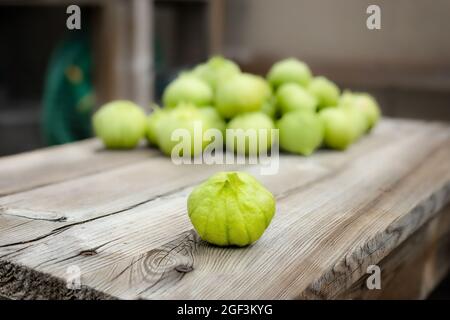 Tomatillos just harvested on wood bench, outside. Group of green Toma Verde tomatillos with husks on. Vegetable used baked, roasted or boiled in salsa Stock Photo