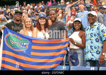 St. Petersburg, United States. 20th Aug, 2021. St. Petersburg, FL. USA; Tampa  Bay Rays fans enjoying an evening at the ball park during a major league  baseball game against the Chicago White