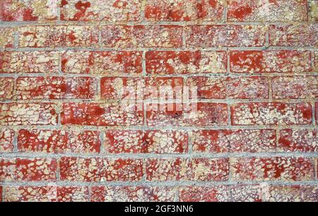 Old dirty brick wall with peeling paint. Stock Photo