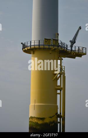 Offshore Rampion Windfarm in East Sussex Stock Photo - Alamy