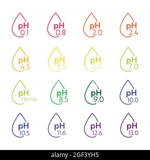 pH Value scale icons. Acid-base balance infographic. Education Poster Stock Vector