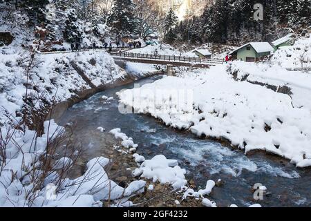 Water is flowing under the bridge in pine tree forest Stock Photo