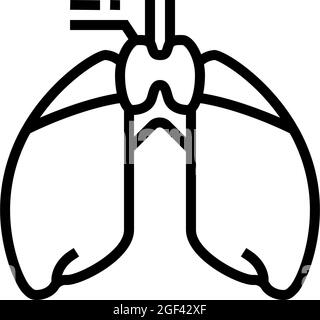 precocious puberty endocrinology line icon vector illustration Stock ...