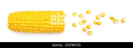 Fresh cut corn cob and seeds on white background Stock Photo