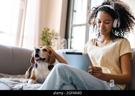 Young african woman in casual wear with beagle puppy at home, sitting on a sofa, using tablet in headphones Stock Photo