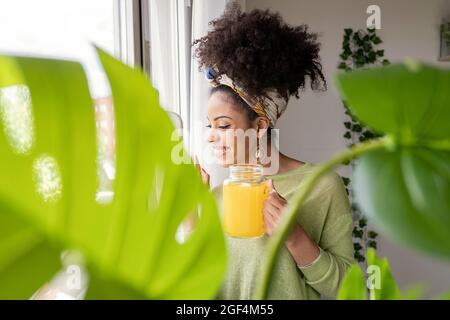 Smiling young woman looking through window while holding juice jar at green house Stock Photo