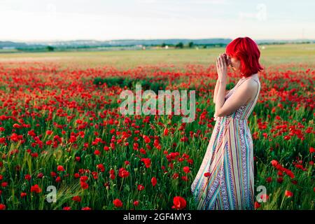 Redheaded woman photographing while standing in poppy field Stock Photo