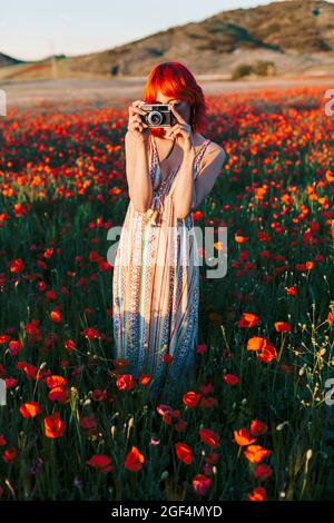 Redheaded woman photographing through camera while standing at poppy field Stock Photo