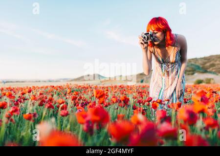 Redhead woman photographing poppy flowers at sunset Stock Photo