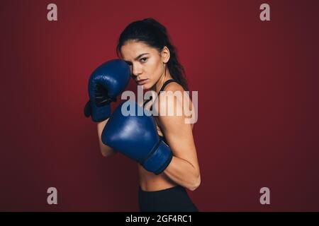 Confident female sportsperson in boxing gloves Stock Photo