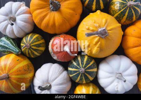 Thanksgiving background with diverse pumpkins on wooden background. Halloween or seasonal background. Stock Photo