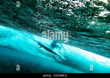 Underwater view of young man surfing in turquoise waters of South Male Atoll Stock Photo