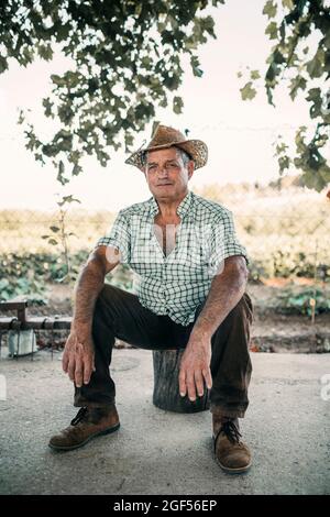 Senior farmer wearing hat sitting on tree stump Stock Photo