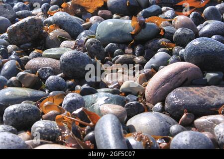 multi-colored stones on the seashore - Mølen Stock Photo