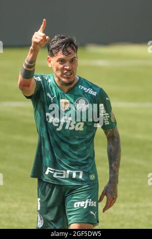 Gustavo Gómez do Palmeiras, durante a partida entre Avaí e Palmeiras, pela  14ª rodada do Campeonato Brasileiro Série A 2022, no Estádio da Ressacada  neste domingo 26. (Photo by pressinphoto/Sipa USA Stock