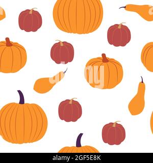 Vector seamless pattern with squash. Flat design Stock Vector