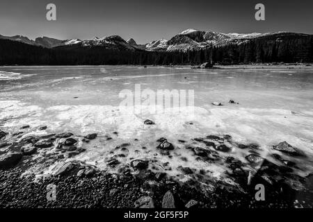 A wide, low angle landscape shot of a frozen lake covered in ice along the shore with pine trees and mountains in the background in black and white Stock Photo