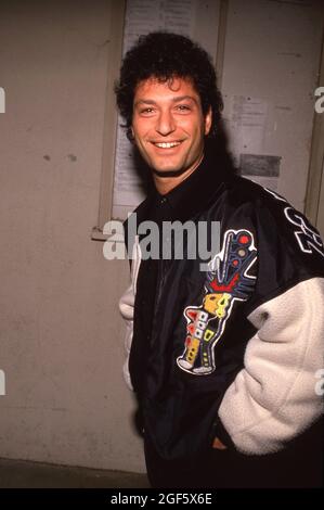 Howie Mandel Circa 1980's Credit: Ralph Dominguez/MediaPunch Stock ...