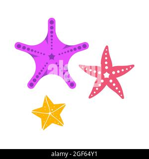 Sea Star fish icon Template vector illustration design Stock Photo