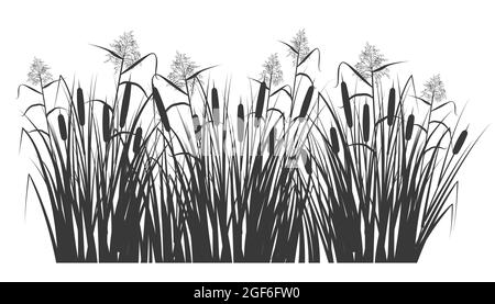 Silhouette of reed and cane in green grass. Swamp and river plants. Vector flat illustration Stock Vector