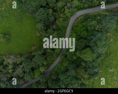 Aerial view of a provincial road passing through a forest in Asturias, Spain. Stock Photo