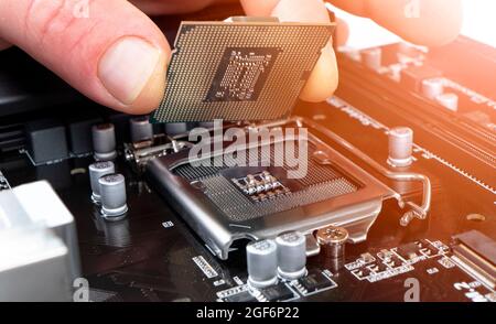 Electronic engineer installing microprocessor. Maintenance computer cpu hardware. Hand holding a computer processor chip. Replacing the central proces Stock Photo