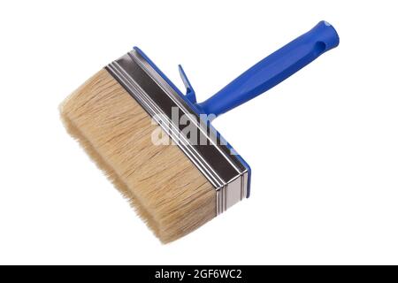 Closeup of paintbrush with natural bristle and blue plastic handle for painting and renovation works isolated on white background Stock Photo
