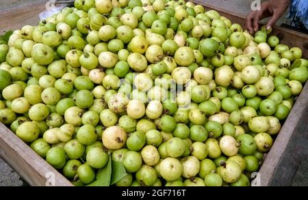 To sell a bunch of small guava on the street market in india Stock Photo