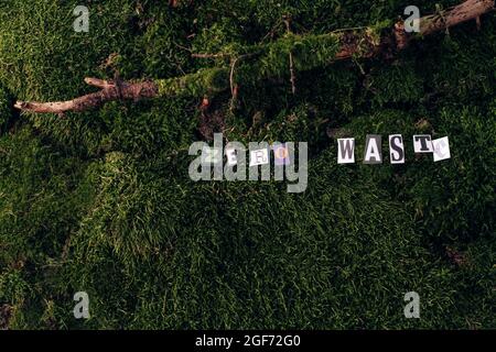 Zero waste words cut out a newspaper on a background of moss in the forest. top view. High quality photo Stock Photo