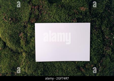 White empty paper copy space on green moss background. Ecology concept. Sustainable, organic, zero waste lifestyle. High quality photo Stock Photo