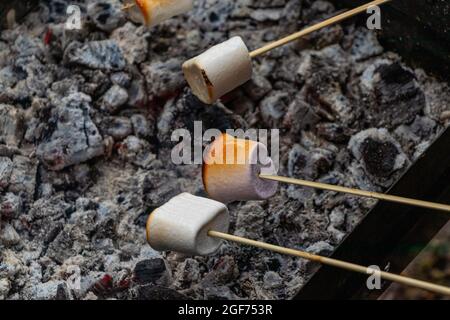 fried or toasred marshmallows on wooden skewers on a charcoal background. Marshmallow on skewers is fried at the stake. soft focus Stock Photo