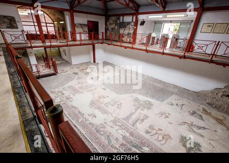 Overview look at one of the floor pieces. At the Grand Palace Mosaic Museum in Istanbul, Turkey. Stock Photo