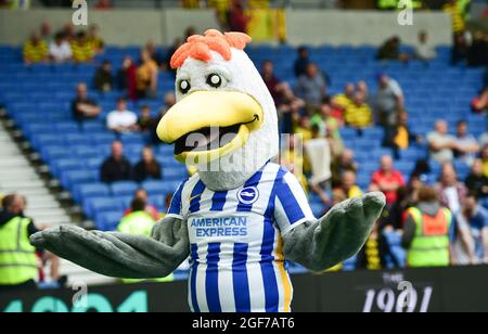 Gully the Brighton mascot enjoys being back at the Amex Stadium during the Premier League match between Brighton and Hove Albion and Watford at the American Express Stadium  , Brighton , UK - 21st August 2021 -  Editorial use only. No merchandising. For Football images FA and Premier League restrictions apply inc. no internet/mobile usage without FAPL license - for details contact Football Dataco Stock Photo