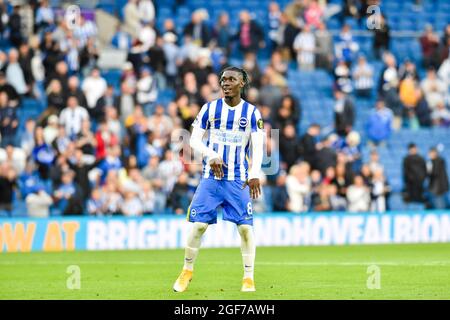 Yves Bissouma of Brighton celebrates their win after the Premier League match between Brighton and Hove Albion and Watford at the American Express Stadium  , Brighton , UK - 21st August 2021 -  Editorial use only. No merchandising. For Football images FA and Premier League restrictions apply inc. no internet/mobile usage without FAPL license - for details contact Football Dataco Stock Photo