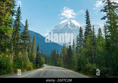 Road, highway through a forest, behind summit of Mount Robson, Mount Robson Provincial Park, British Columbia Province, Canada Stock Photo