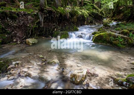 Gorge de Perrefitte, small gorge, brook Chaliere, Perrefitte, Bernese Jura, Bern, Switzerland Stock Photo