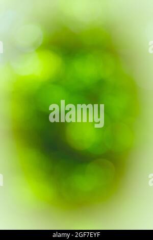 Vertical shot of beautiful bokeh lights background for wallpapers Stock Photo