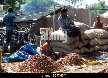 Weekly market at Perundurai near Erode in Tamil Nadu, India Stock Photo