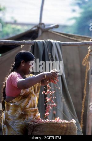 Weekly market at Perundurai near Erode in Tamil Nadu, India Stock Photo