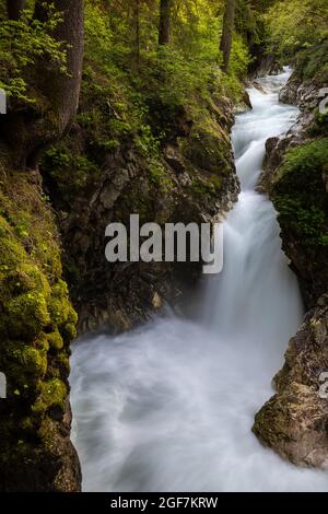 A mountain creek is flowing between moss covered rocks and trees and into a waterfall Stock Photo