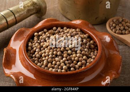 Traditional bowl with dried coriander seed close up Stock Photo